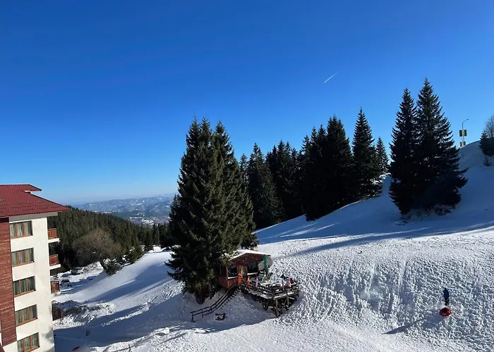 форест нук - фаза 1 * Pamporovo